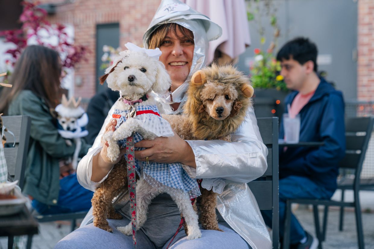 Dogs in Costume at Slightly Spooky Saturday at Navy Pier