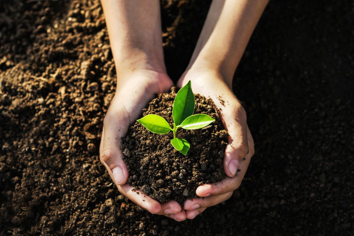 Earth Day Workshops