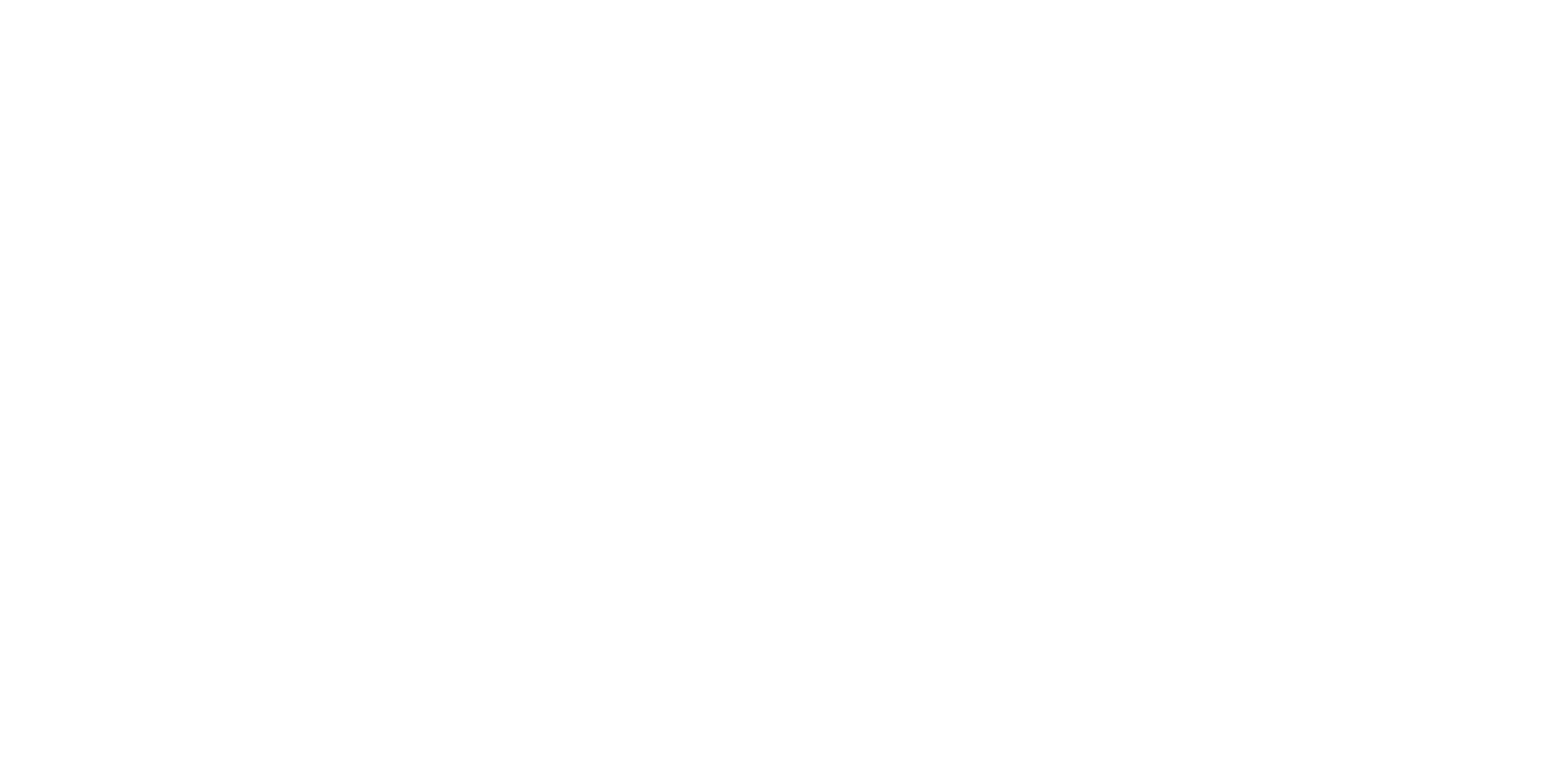 NavyPierless Logos PrimaryLogo FullColor